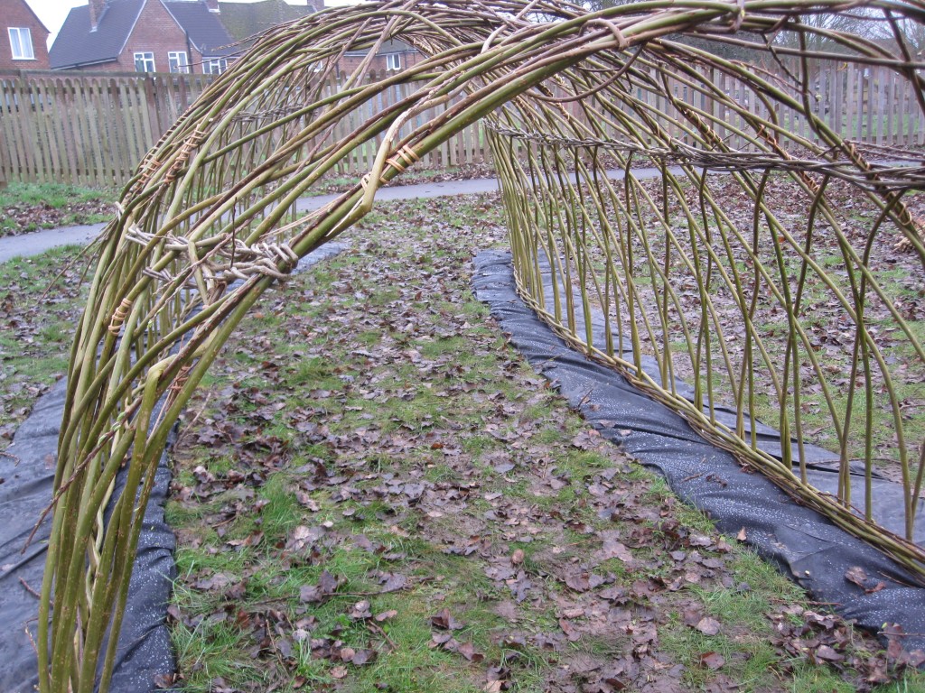 Willow Tunnel Southampon Angela Morley Garden Design 7212